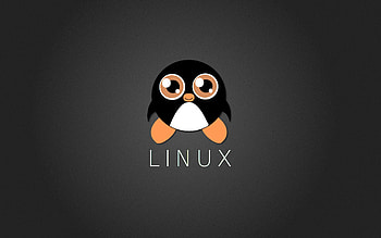 Peguin Linux, tux, linux, computer, ubuntu, penguin HD wallpaper