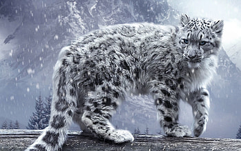 ... Backgrounds Of Animals 22. HD wallpaper