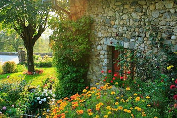 romantic cottage, green, house, garden, flowers, grass, wonderful place HD wallpaper