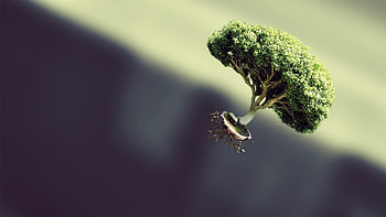 Trees, Fantasy HD wallpaper
