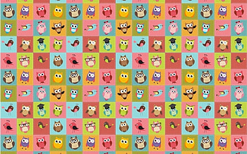 Texture, blue, bird, paper, orange, owl, pink, yellow, red HD wallpaper