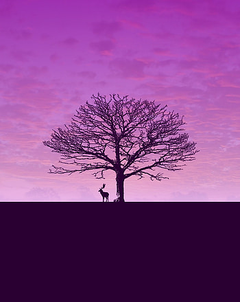 Sky, Clouds, Wood, Tree, Minimalism, Deer HD phone wallpaper