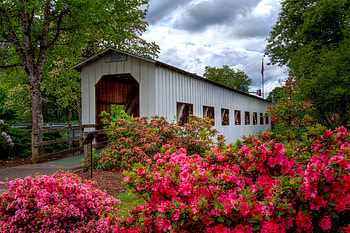 Covered bridge, covered, bridge, beautiful, flowers, forest HD wallpaper