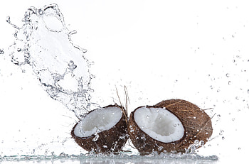 Coconut , Ultra , Stunning backgrounds, Tropical aesthetics HD wallpaper