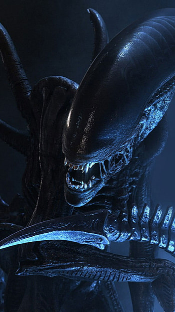 Alien movie, Predator vs. Alien, Intergalactic battle, Epic movie franchise HD phone wallpaper