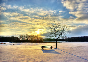 Bench, winter, snow, sunrise HD wallpaper