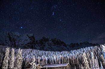 Trees, forest, starry night HD wallpaper