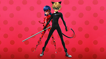Ladybug, , Colorful HD wallpaper