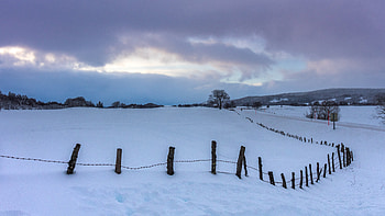 Winter, Nature, Trees, Snow, Fence HD wallpaper