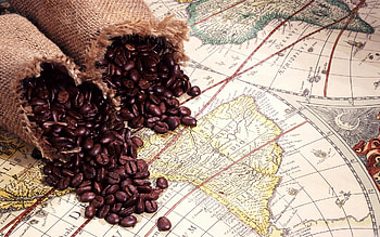 Coffee Beans, Brazil, Background , Food HD wallpaper