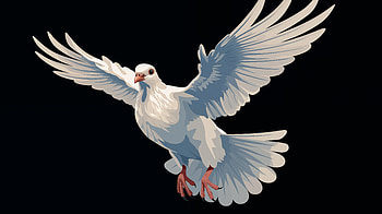 Majestic Dove in Flight -, bird, Animal, dove HD wallpaper