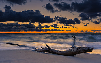 Beach Sunset, ocean, driftwood, sunset, beach HD wallpaper