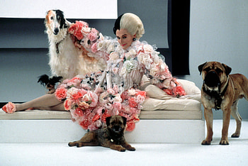 Cruella de Vil, Style Evolution, Sideshow Collectibles HD wallpaper