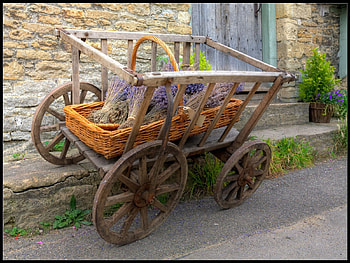 lavender, old HD wallpaper