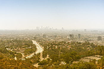 Cities, Trees, City, Building, Road, Fog HD wallpaper