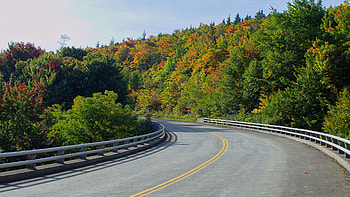 Road Turn Fence Between Red Orange Green Leaves Trees In Blue Sky Background Nature HD wallpaper