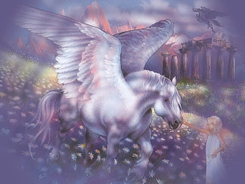 Trust In Me, black unicorn, trust, colosseum, colours, spring, wild, pet, mountains, petting, wings, white, flying, girl, dark, purple, love, unicorn, fields, sky, flowers HD wallpaper