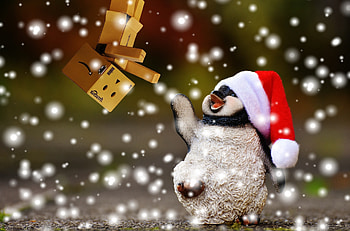 snow animal cute decoration ceramic holiday christmas christmas tree penguin christmas decoration santa hat fun figure HD wallpaper