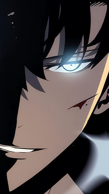 Sung Jin-Woo Ascends: Solo Leveling Anime, Sung Jin-Woo, Anime, Solo Leveling HD phone wallpaper