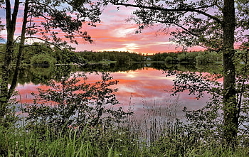Dawn at the Lake, Lake, Nature, Sky, Tree HD wallpaper