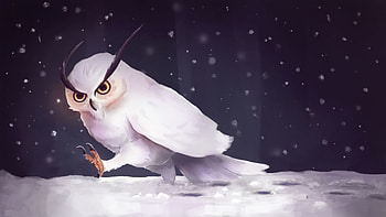 Art, Owl, Snow, Steps, Snowfall HD wallpaper