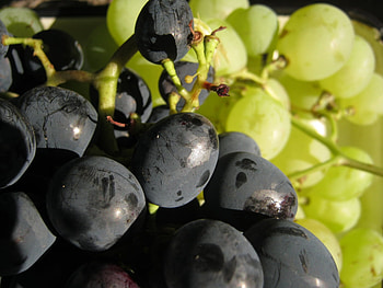 Fruits, Food, Grapes HD wallpaper