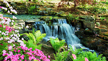 Small waterfall in the spring, river, cascades, trees, flowers, park HD wallpaper