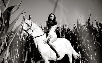 bw, sexy, horse, woman HD wallpaper