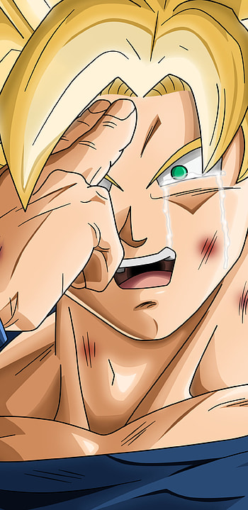 Tell Your Mother I'm Sorry, Goku, Anime, Dragon Ball Z HD phone wallpaper