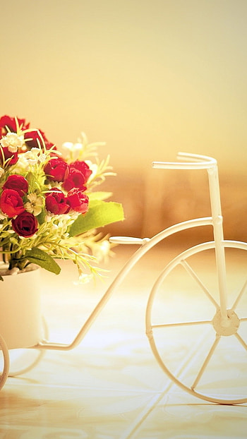 Best Love, Cute, Cycle Miniature HD phone wallpaper