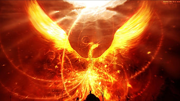 | Background ID:17704 HD wallpaper