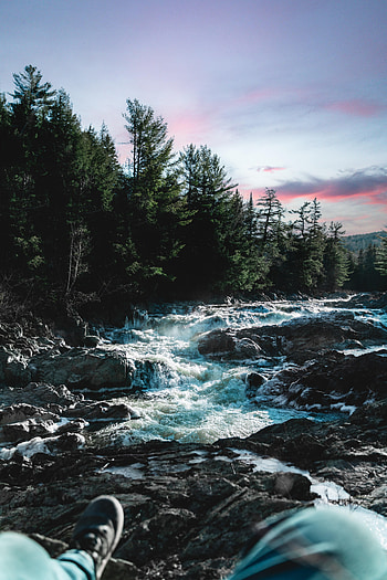 Landscape, Nature, Water, Rivers, Trees, Stones, Legs HD phone wallpaper