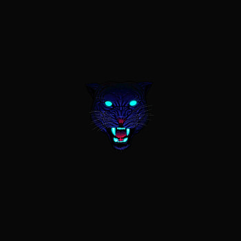 Animal, predator's muzzle, wildlife HD phone wallpaper