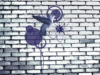 Wall, blue, hummingbird, aria HD wallpaper