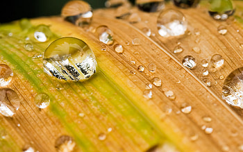 Background, Drops HD wallpaper