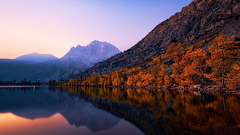 June Lake, Sierra Nevada, California, fall, colors, trees, water, mountains, forest, usa, reflections, autumn HD wallpaper