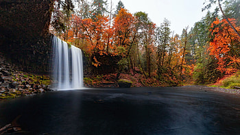 Beaver Falls outside of Clatskanie, Oregon, river, leaves, fall, autumn, trees, colors, cascade, usa HD wallpaper