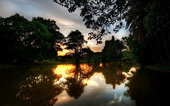 Nature, Trees, Twilight, Summer, Lake, Reflection, Dusk, Evening HD wallpaper