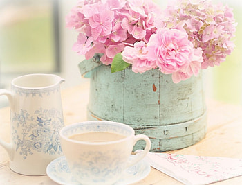 Pink Flowers, soft, pink, nature, flowers HD wallpaper