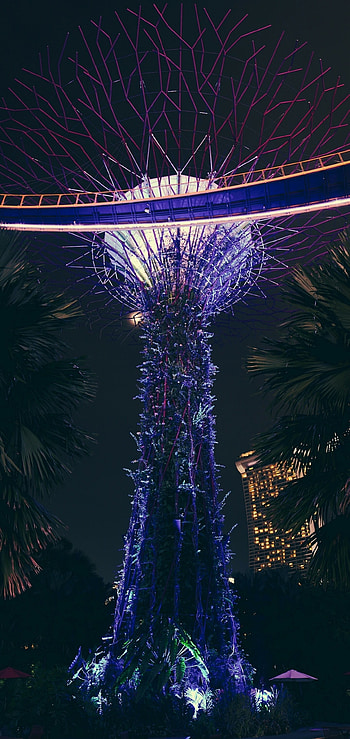 Singapore Travels, Park landscapes, Palm trees, Tropical scenery HD phone wallpaper