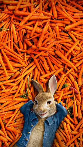 Peter Rabbit (2022) movie HD phone wallpaper