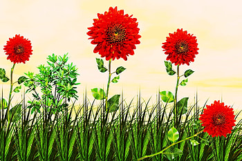 Red Flower Plant, plant, green, red, flower HD wallpaper