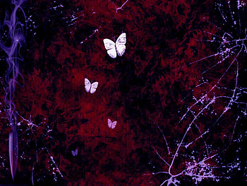 bullet butterfly by 13 1 .jpg, purple, trail, red butterfly HD wallpaper