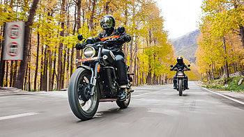 Harley-Davidson XG750A Street Rod Autumn Ride, vehicle, Harley-Davidson HD wallpaper