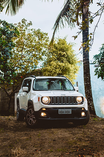 Trees, Cars, Car, Suv, Jeep, Jeep Renegade HD phone wallpaper
