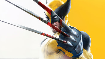 Wolverine Anarchy, deadpool-and-wolverine, deadpool-3, wolverine, superheroes, artwork, digital-art HD wallpaper