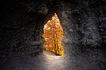 Nature, Trees, Autumn, Cave HD wallpaper