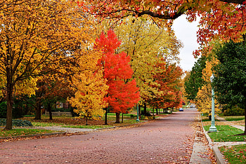 Autumn Scene, autumn colors, scenic autumn, autumn glory HD wallpaper