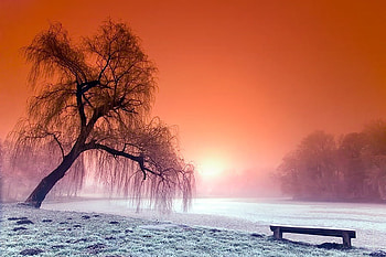 winter landscape, winter, bench, snow, nature, sunset, tree HD wallpaper