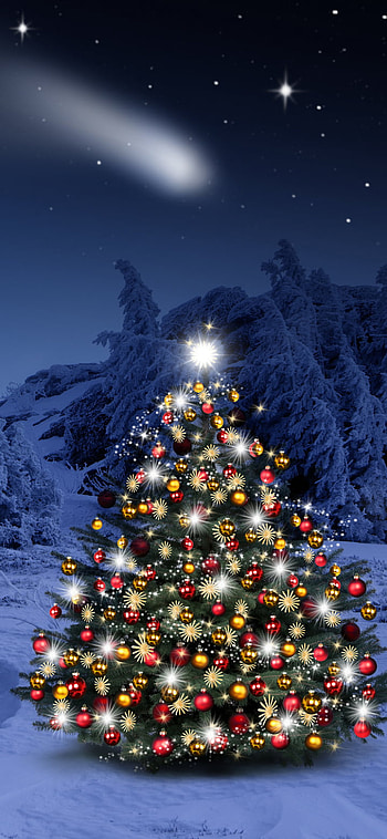 Lighted Christmas Tree in Winter Forest, snow, winter, light, christmas tree, holiday, Christmas HD phone wallpaper